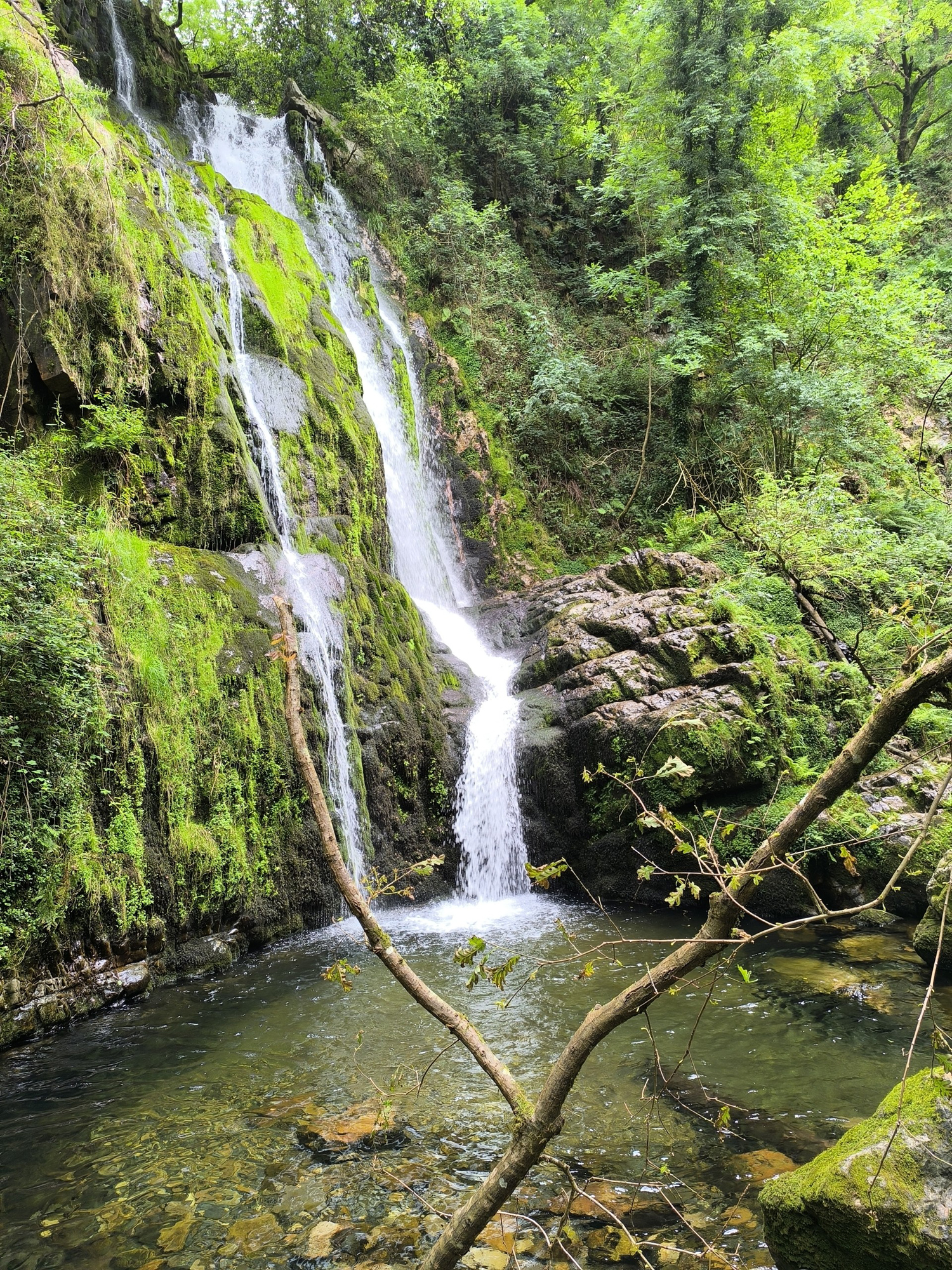 Francisco Javier Romero - Ibersys